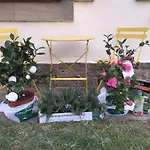 Legado De Zabala, *